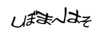 Authentication image